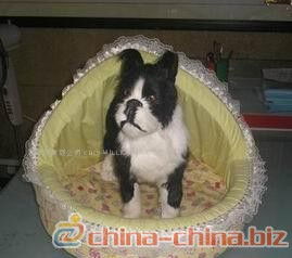 寵物用品庫存管理全攻略 為愛寵備足糧草，讓經營更從容