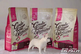 寵物家族 打造愛寵幸福生活的全方位指南