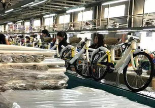 共享單車炎夏遭遇產業寒潮 生產第一鎮商鋪過半陷倒閉潮 孵化基地逐步退出舞臺