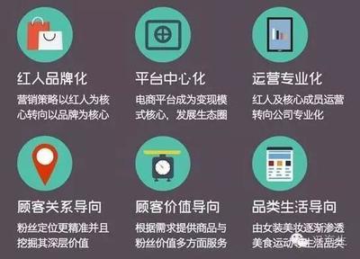 不是豬也能飛,IP與網紅經濟,你要上天嗎? - 今日頭條(TouTiao.org)